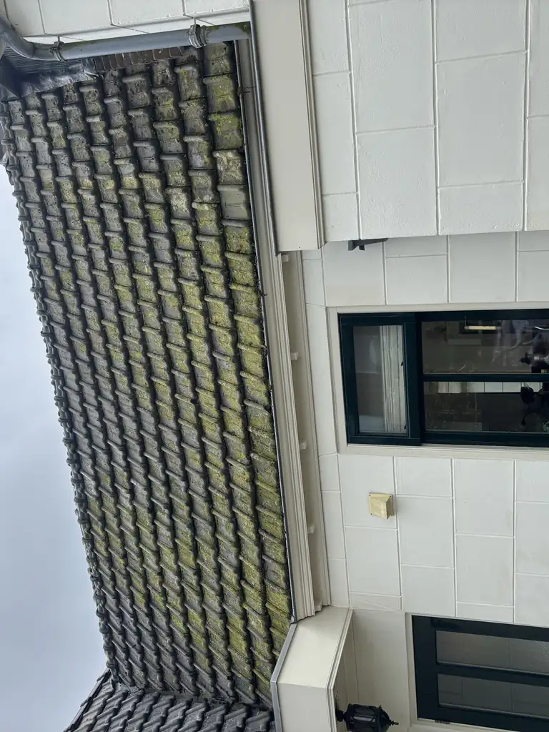 Dakpannen met groene aanslag in Stompetoren — voor de reiniging